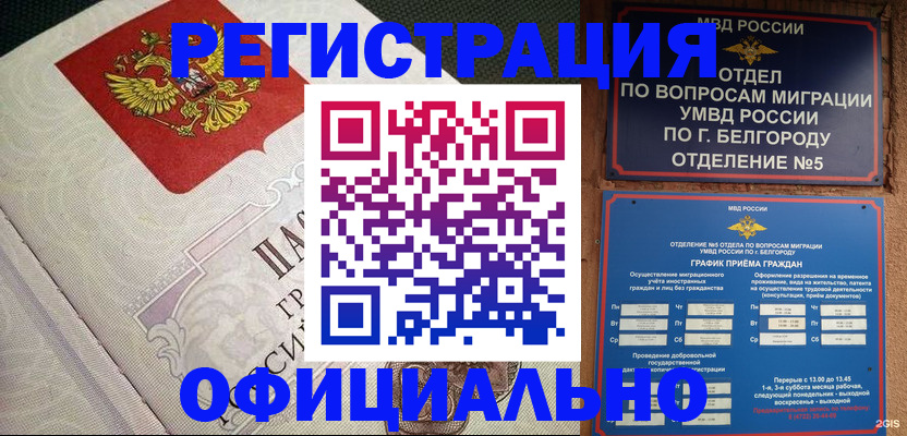 временная регистрация законно в Кингисеппе